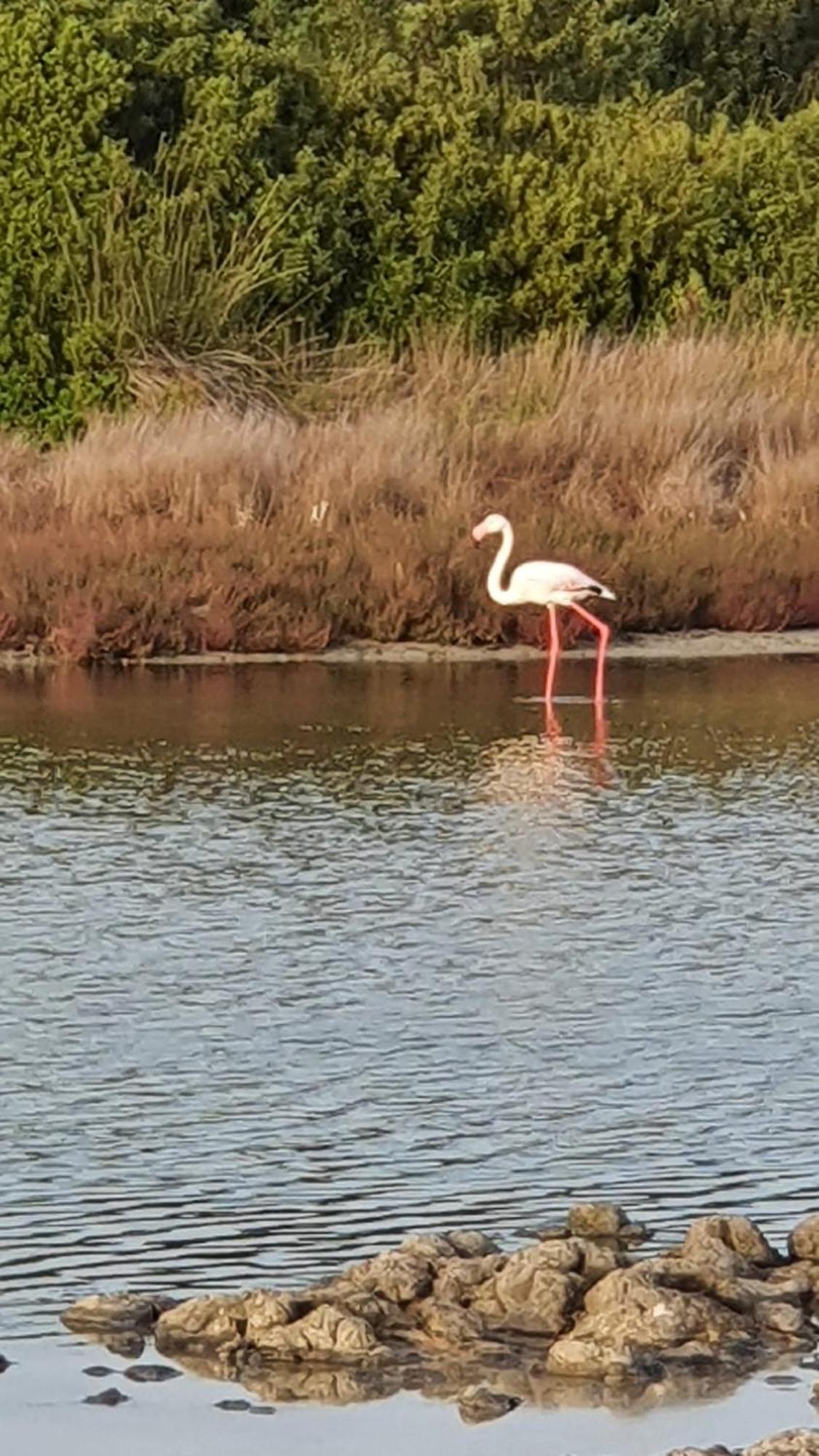 Carpe Diem Oristano Zewnętrze zdjęcie